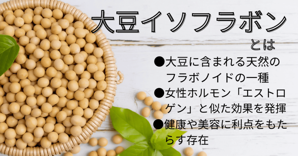 ざるに入った大豆の絵。大豆イソフラボンは天然のフラボノイドの一種であること、女性ホルモンエストロゲンと似た効果を発揮すること、健康や美容に利点をもたらす存在であることを説明。