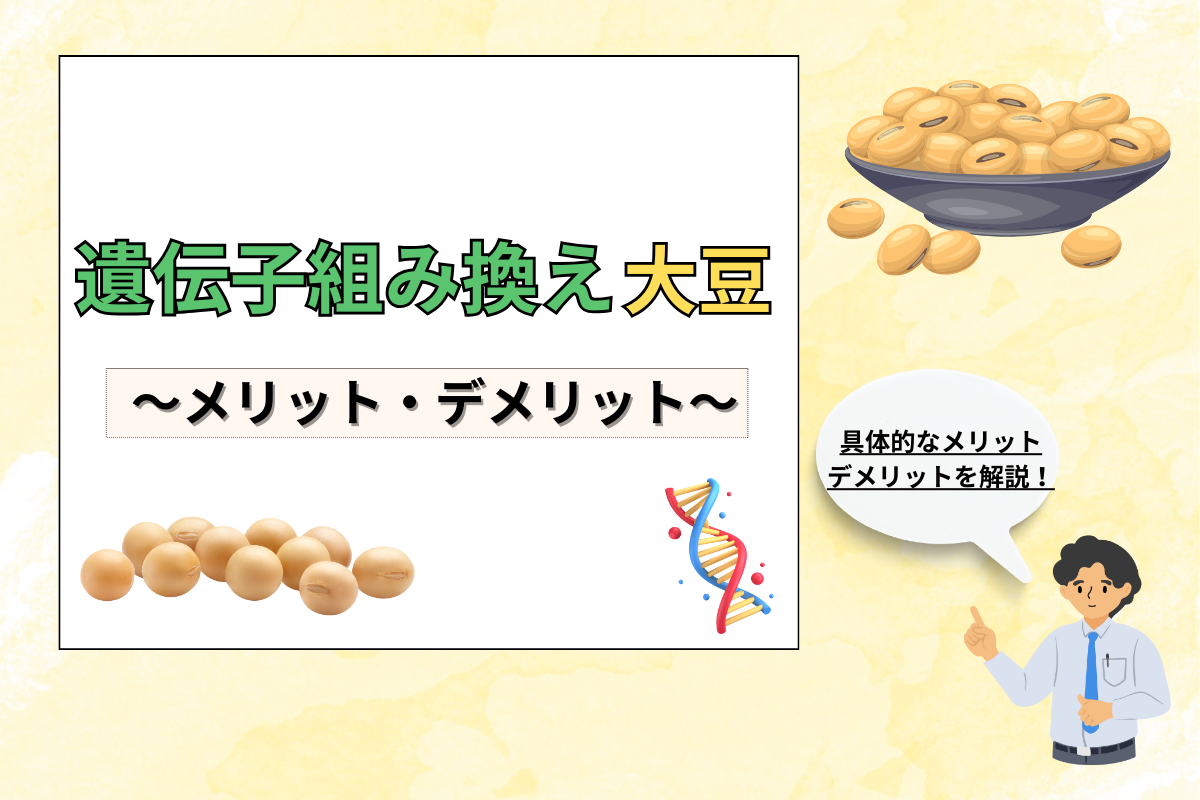 大豆 遺伝子 組み換え