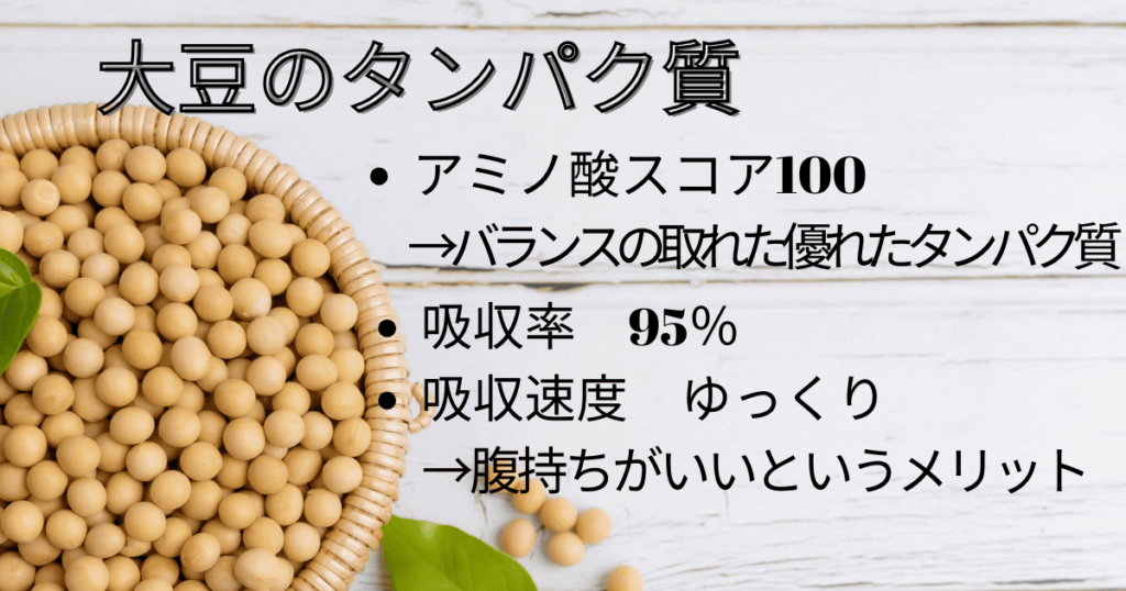 大豆タンパク質　アミノ酸スコア100